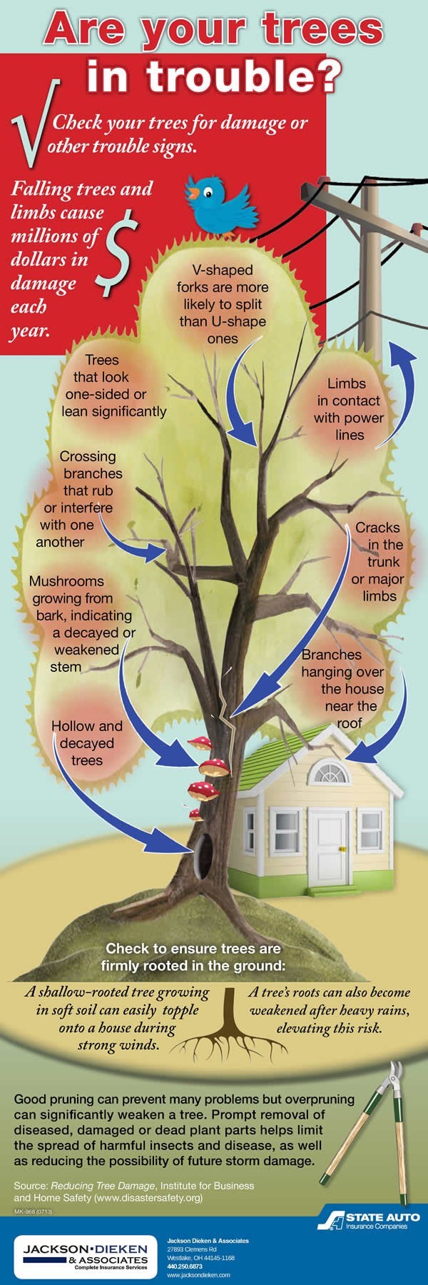 tree damage infographic