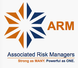 ARM International