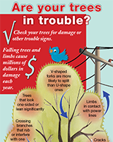 Are Your Trees in Trouble