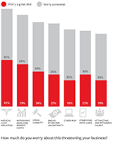 Travelers Top 7 Business Risks